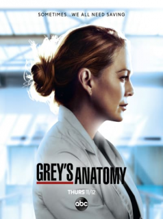 voir serie Grey's Anatomy Saison 10 en streaming 